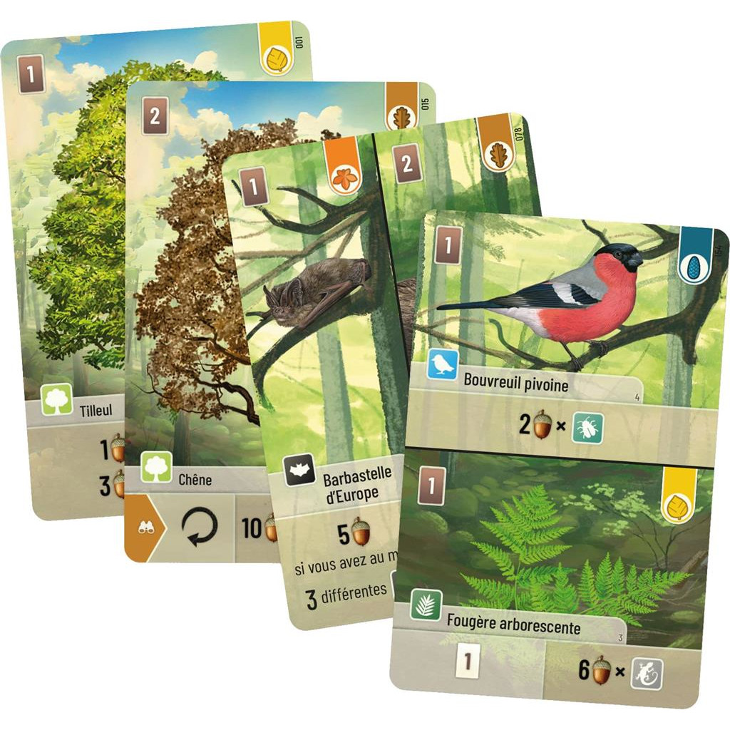 Forêt Mixte cartes