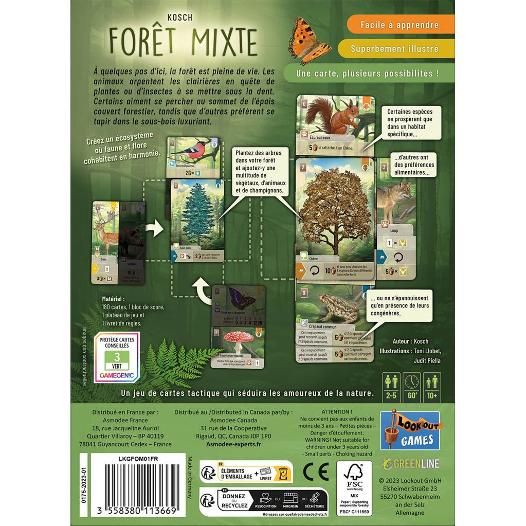 Forêt Mixte dos