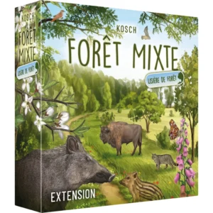 foret mixte – lisiere de foret 1